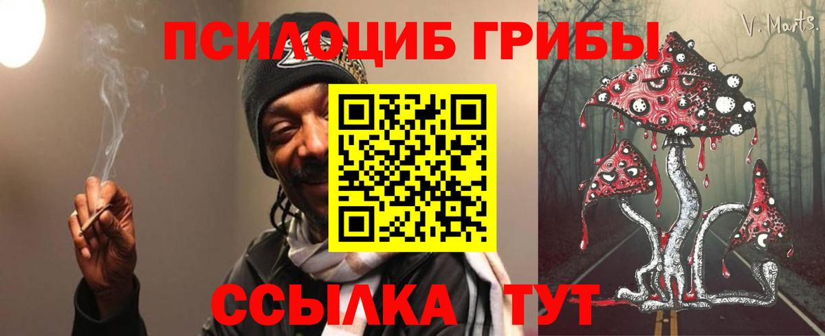 Лениногорск  Галлюциногенные грибы Psilocybe  Вход с VPN 