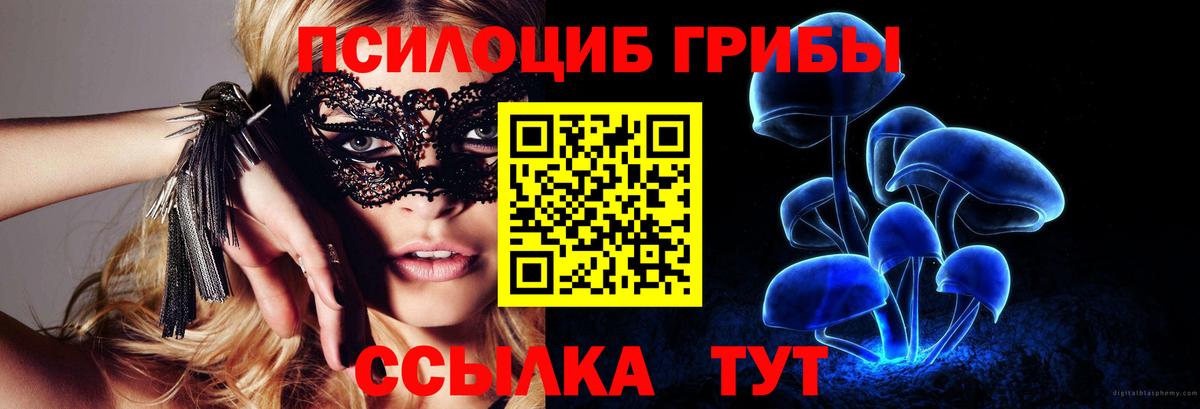 Псилоцибиновые грибы Cubensis Лениногорск